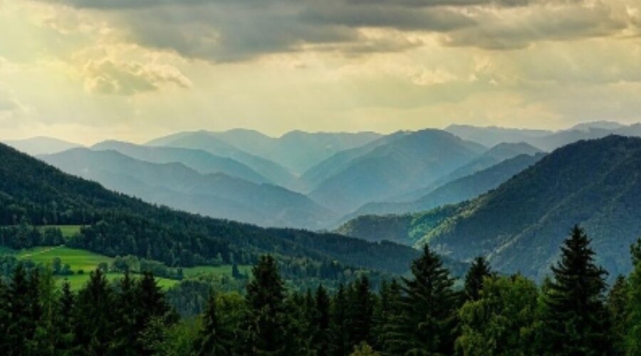 Blick auf die Berge und Wälder