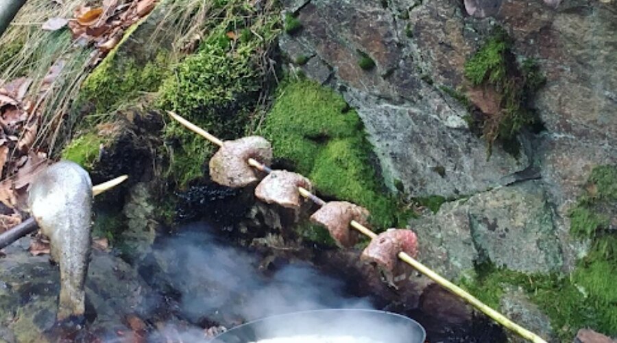 Outdoor-Kochen - Fisch und Steaks
