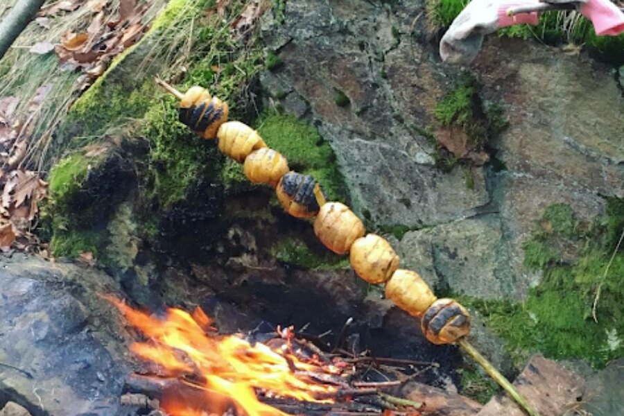 Kochen am Feuer - Kartoffeln