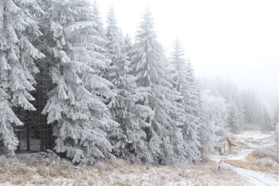 Schnee, Landschaft