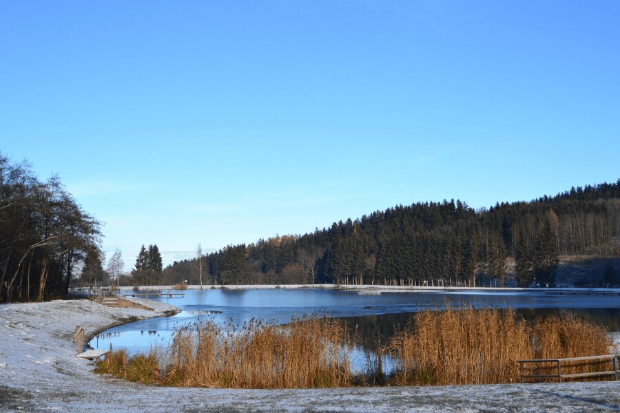 See, Herbst