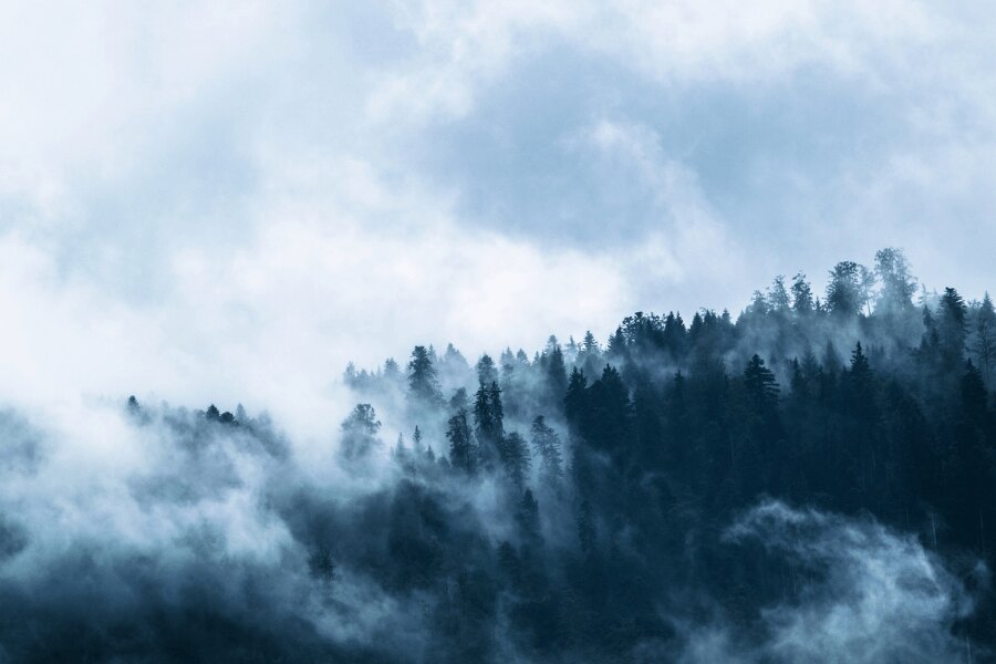 Natur im Winter. Quelle: https://www.pexels.com/cs-cz/foto/ryma-svetly-krajina-hory-167699/