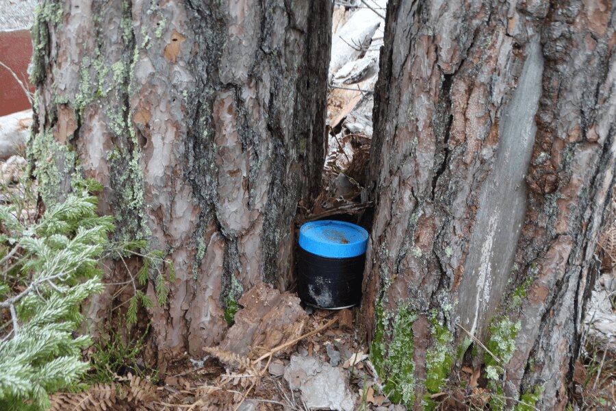 Geocaching, ein Cache versteckt bei einem Baum. Quelle: https://commons.wikimedia.org/wiki/File:Geocaching_indelis,_Zypli%C5%B3_pu%C5%A1is.JPG