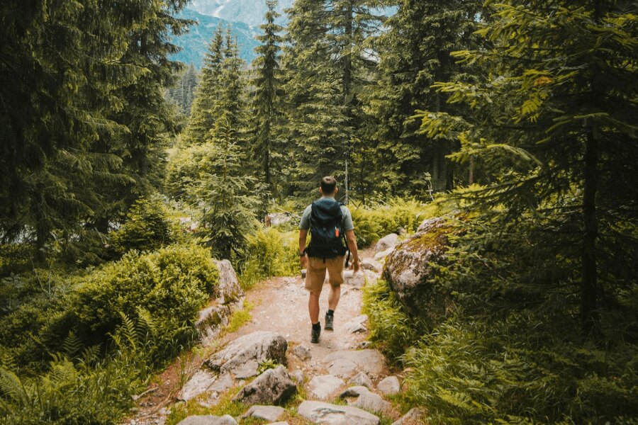 Ein Mann mit einem Rucksack beim Wandern im Wald. Quelle: https://www.pexels.com/cs-cz/foto/priroda-muz-dovolena-chuze-2629233/