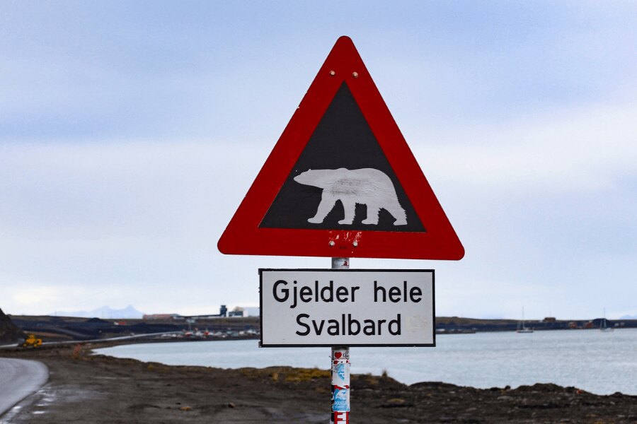 Spitzbergen, Norwegen. Quelle: https://pixabay.com/cs/photos/%C5%A1picberky-skandin%C3%A1vie-severn%C3%AD-4763129/