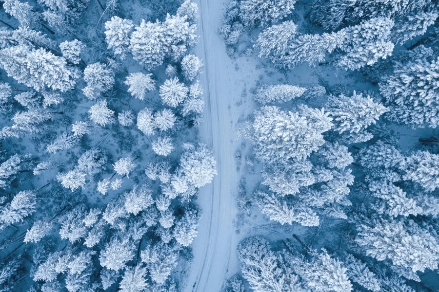Verschneiter Wald, Blick aus der Drohne. Quelle: https://www.pexels.com/cs-cz/foto/1438761/