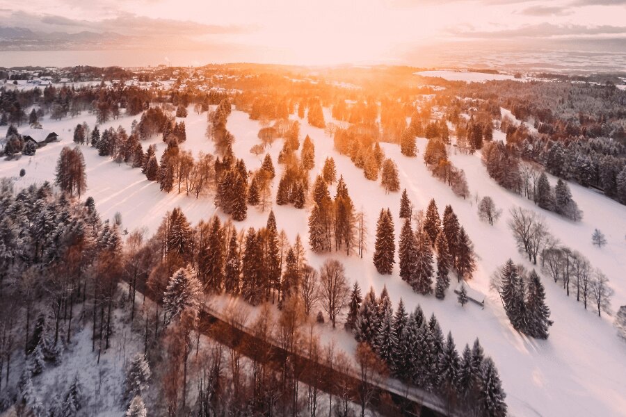 Winterlandschaft mit Wald bei Sonnenuntergang. Quelle: https://www.pexels.com/cs-cz/foto/1643773/