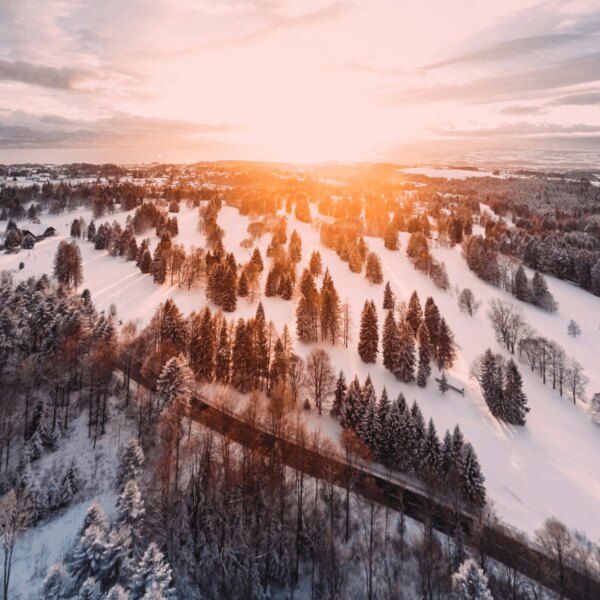 Sonnenaufgang und erwachende Landschaft. Quelle: https://www.pexels.com/cs-cz/foto/1643773/