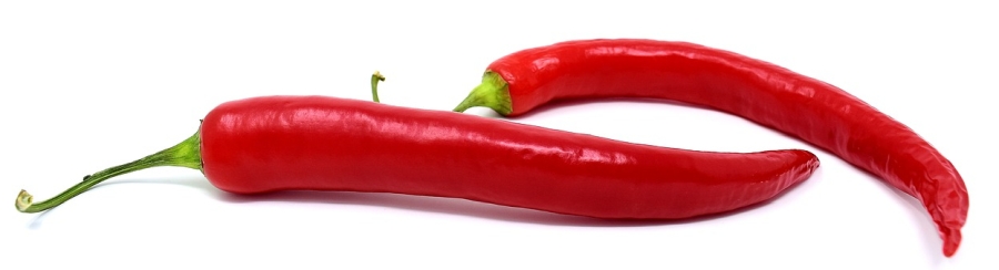 Chilischote
