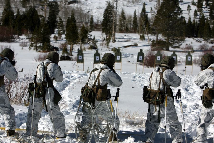 Tarnmuster MARPAT™ - Winter und Schneetarn