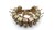 Bandolier für Granaten 13×40 mm Templar’s Gear®