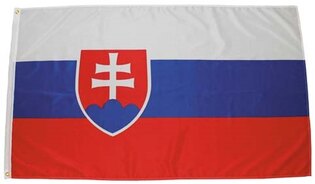 Flagge SR MFH®