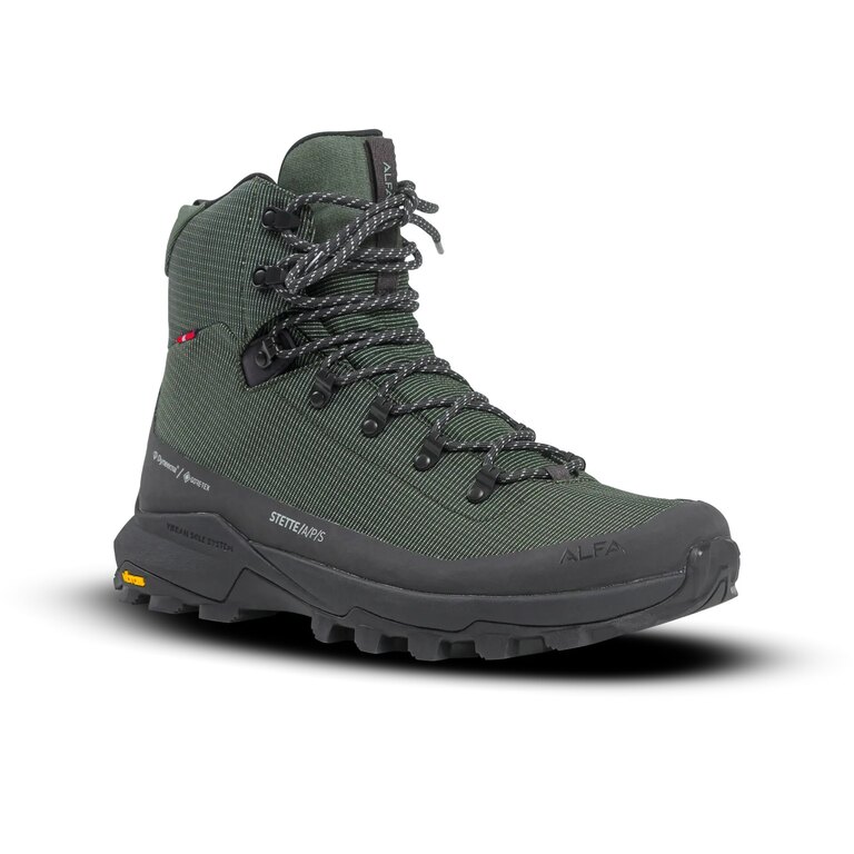 Herren-Trekkingschuhe Stette A/P/S/ GTX® Alfa®