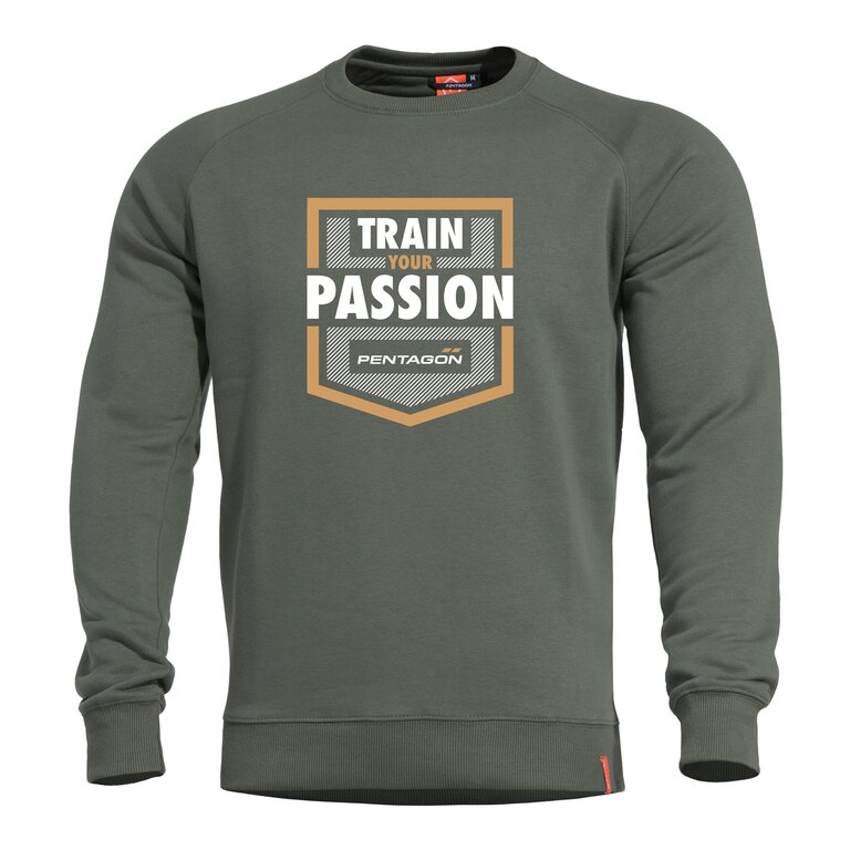 Pullover Hawk Train Your Passion Pentagon®