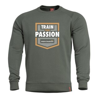 Pullover Hawk Train Your Passion Pentagon®