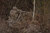 Tarnabdeckung Stativ Camo Ghosthood® IRR