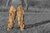Tarnhose Ghost Legs Ghosthood® IRR