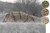 Tarnnetz Camo Net 6×8,5 m Ghosthood® IRR