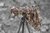 Tarnung Palestina Optic Camo Ghosthood® IRR
