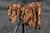 Tarnung Palestina Optic Camo Ghosthood® IRR