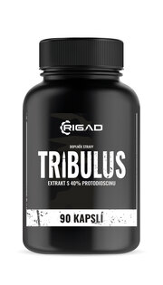 Tribulus Terrestris / kotvičník - Extrakt aus Früchten mit 40 % Protodioscin Rigad®